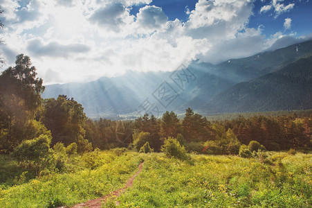 美丽的风景有夏季草原图片