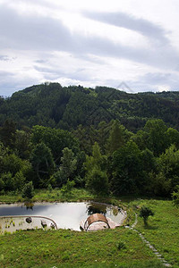 天然游泳池或游泳池的木码头图片