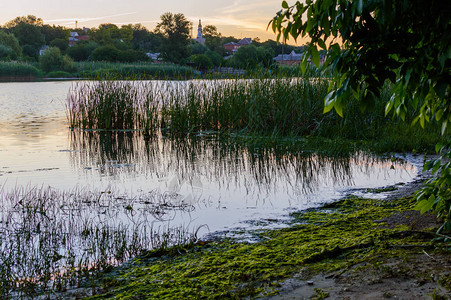 日落时绿河岸的夏季风景俄罗图片