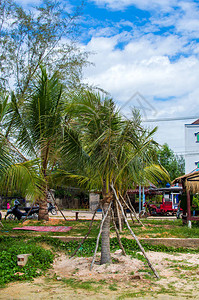 柬埔寨西哈努克城美丽热带图片