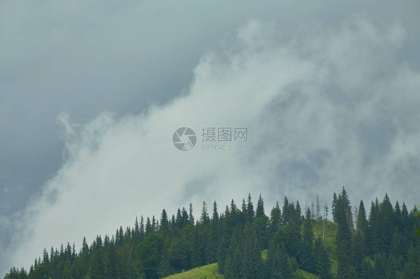 云雾缭绕的山中森林图片