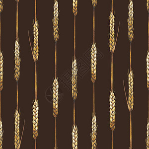 水色麦芽无缝模式用谷物图片