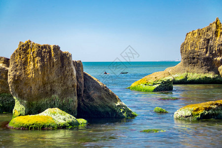 海面上充满绿藻的石块天空蓝色是背景长图片