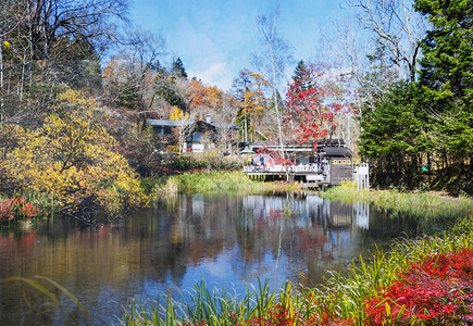 日本秋季的美丽的甲水泽Kariiz图片素材