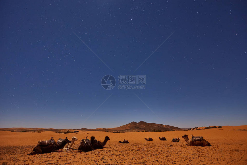 夜晚在撒哈拉沙漠露营月亮是星图片