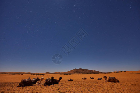 夜晚在撒哈拉沙漠露营月亮是星图片