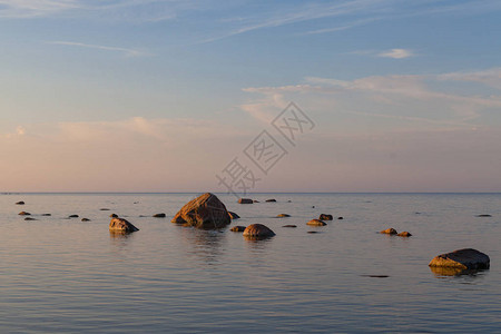 美丽的日落风景绿色海岸水中有草图片