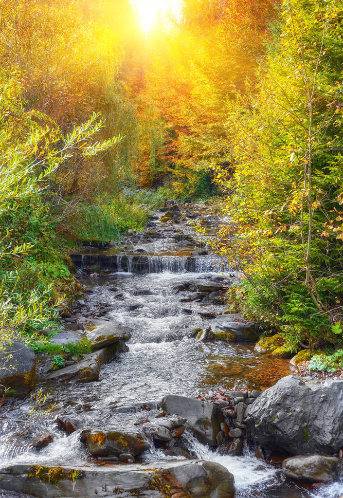 秋天的快速山区河流创辉木背景图片