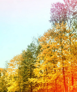秋天的风景与明图片