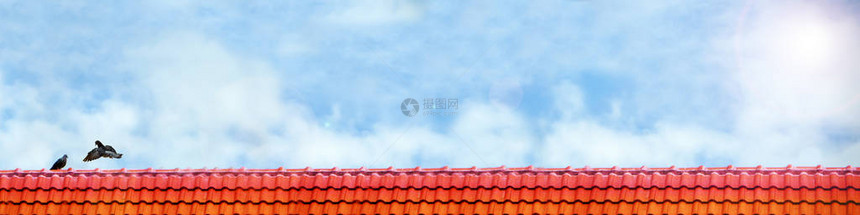 鸽子在屋顶和蓝天白云全景的天空上紧贴图片