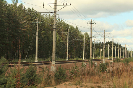 通向森林的铁路通向远处图片