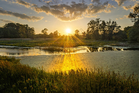 夏日池塘的夕阳景观日落图片