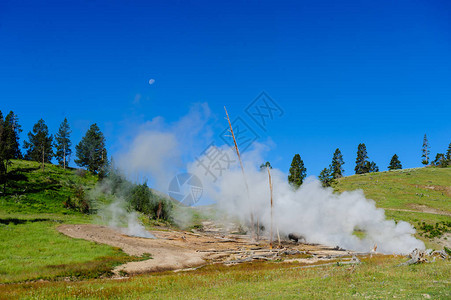 在黄石公园的泥火山附近站在一只盖泽尔人的烟雾图片