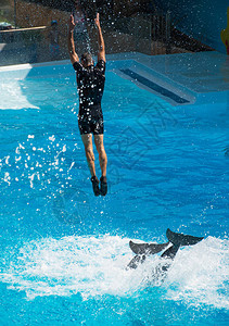 与海豚一起表演男子跳出水面背景图片