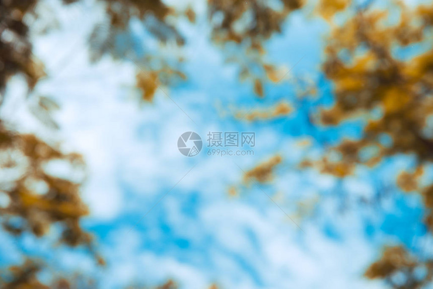 蓝色自然秋天公园图片
