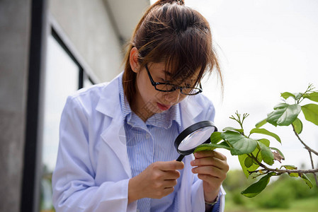 年轻美丽的亚洲农学家科学家女人穿着白大褂图片