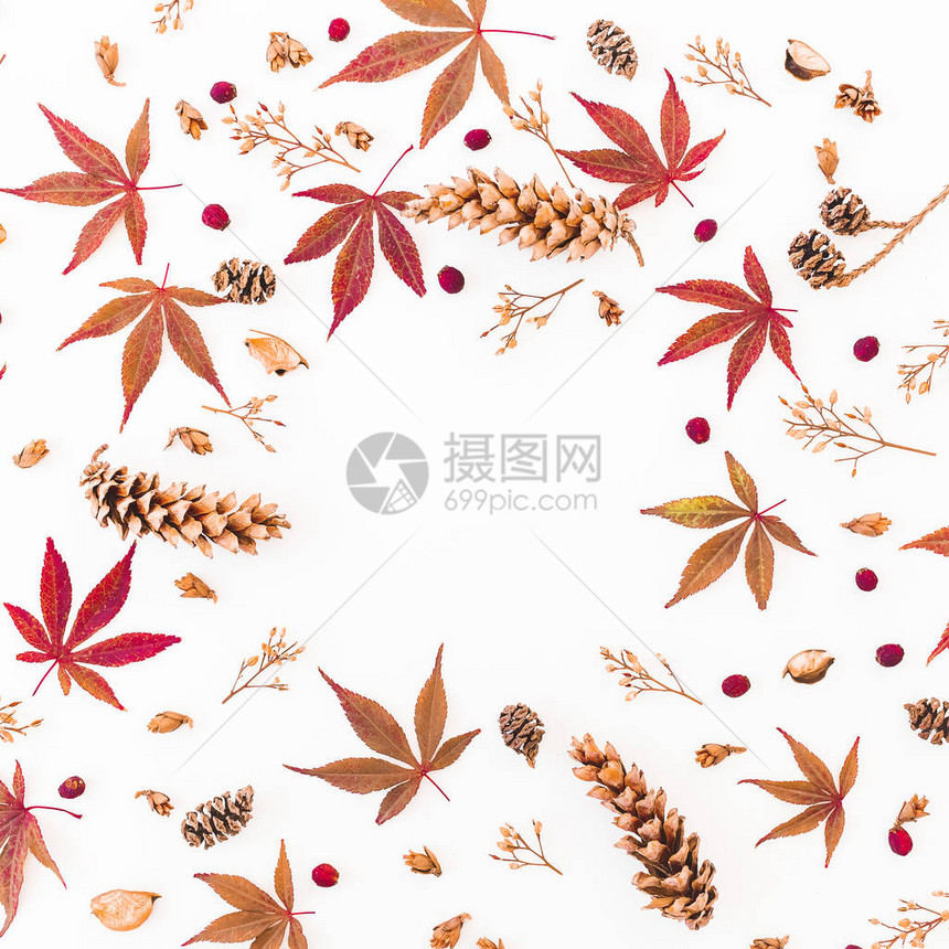 边框由秋叶干花和松果制成图片