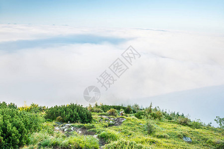 云中的青山日落时雾中青山的景观图片