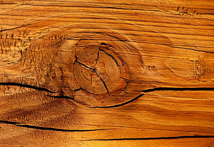 抽象的木质纹理棕色的木头特写图片