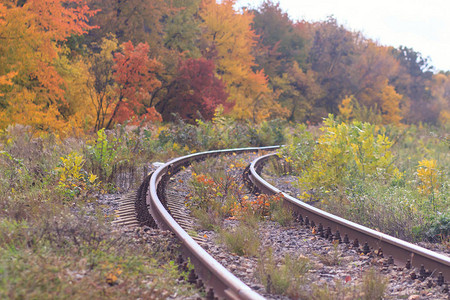 在美丽的秋天公园雾中铁路或电车道潮湿背景图片