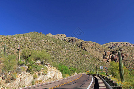 美国亚利桑那州Tucson的Lemmon山公路上图片