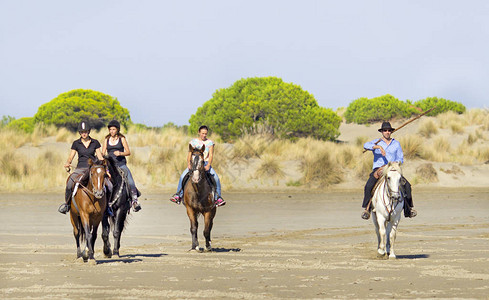 骑兵和她的马在海滩上背景图片