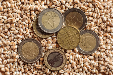 欧洲硬币和小麦谷物背景图片