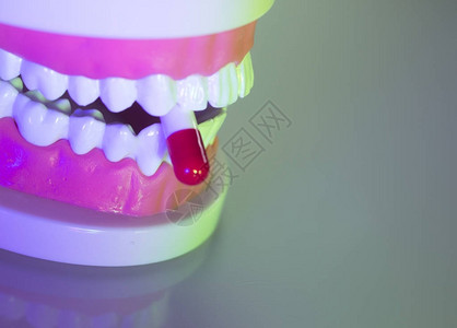 牙齿口齿口香糖牙医教学模型图片