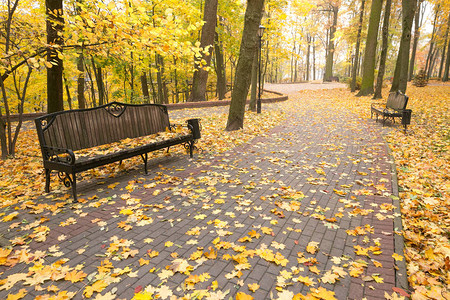 城市公园的秋色图片