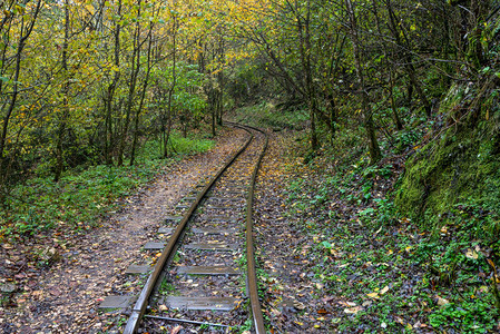 铁路轨道穿过秋山林图片