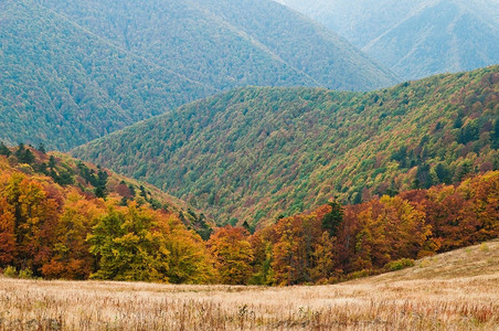 边远山区背景下的秋季森林黄橙色颜图片