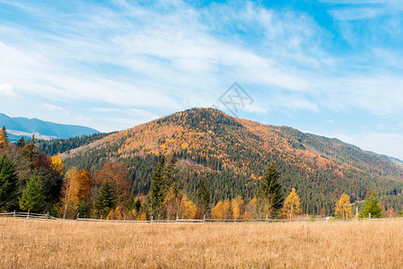 喀尔巴阡山脉多姿彩的秋天风景山背景图片