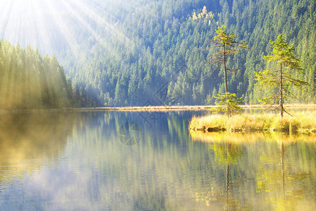 公园巴伐利亚森林的莫瑞恩湖克林纳阿伯西图片