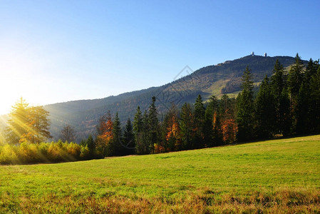 巴伐利亚森林公园的秋天风景图片