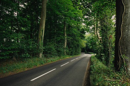 空旷的乡村柏油路穿过法国诺曼底地区的绿色森林自然乡村景观交通和图片