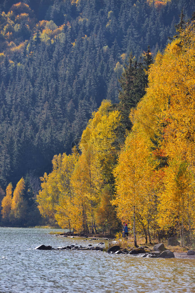 秋天的公园风景湖边公园里秋天的鲜艳色彩图片