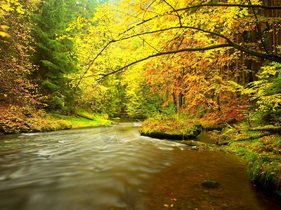 山河上空的秋色森林图片
