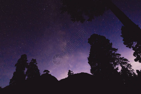 夜景与银河和山中的一些树木图片