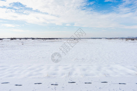 新的雪地和雪图片