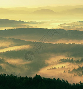 壮丽的大雾景观秋天的奶油雾景观山从浓雾中升起图片