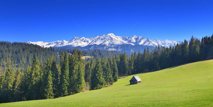 在雪山背景上的绿色高山谷全景阿尔卑斯山阳光明媚的夏日在风景如画的山峰上的蓝天经图片