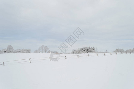 冬季农村地区有雪覆盖树木和乡村路道的图片