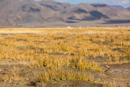 在西蒙古草原上的图片