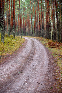 农村的空森林道路图片
