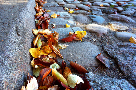 路上的黄红秋叶人行道上的落叶图片