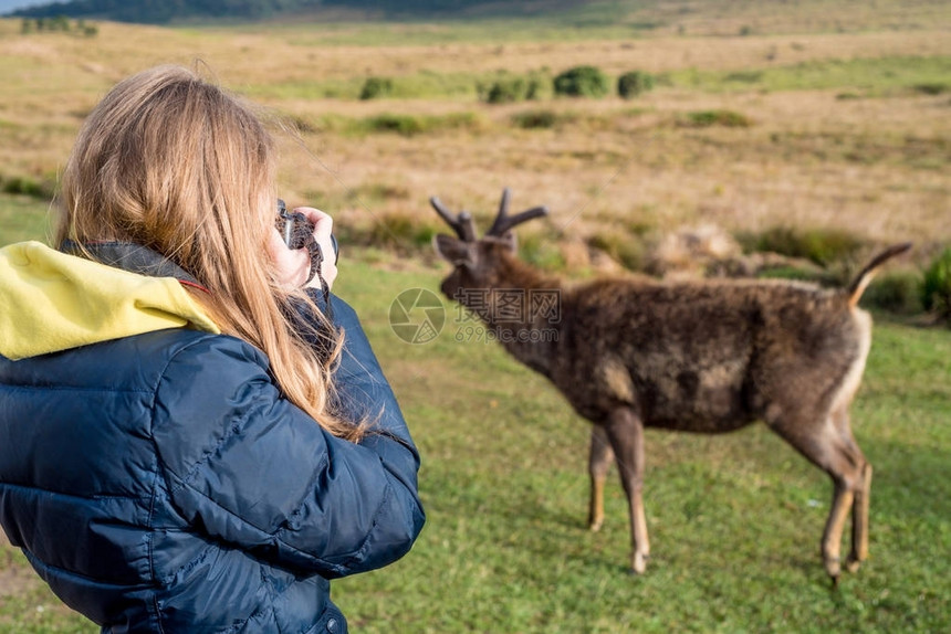 年轻可爱的女野生动物摄影师在游猎期间拍图片