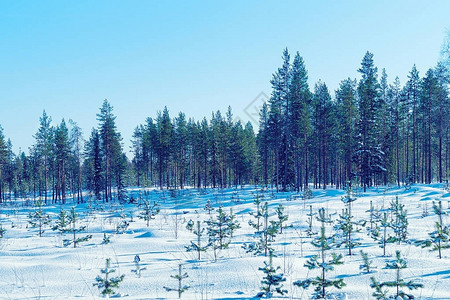 芬兰拉普兰罗瓦涅米冬图片