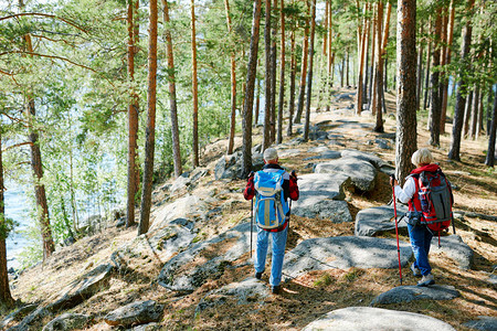 一对背包客在夏日的森林里徒步旅行图片