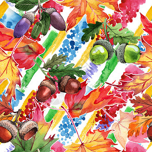 水彩风格的枫叶图案水彩画枫叶用于背景纹理包装图案图片