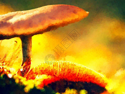 油画笔刷在照明林中神秘的野生蘑菇房山脚以超真实光线掉落的树叶摩背景图片